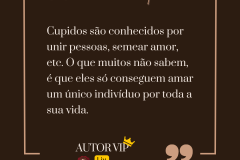 INSTAGRAM | VIP - Quote - modelo 1 (2)